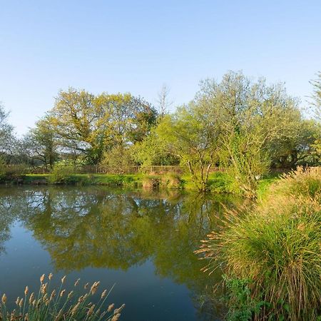 Our Goldfinch 1- Sleeps 2 Persons- Private Hot Tub-Pet Friendly-Tranquil Holiday Away From It All Yet Not Far From St Austell- The Holiday Home Has One Bedroom, Living And Dining Area, Equipped Kitchen-Decking-Outdoor Furniture-Fishing Lakes And MoreGrampound エクステリア 写真