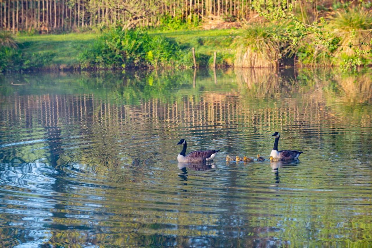 Our Goldfinch 1- Sleeps 2 Persons- Private Hot Tub-Pet Friendly-Tranquil Holiday Away From It All Yet Not Far From St Austell- The Holiday Home Has One Bedroom, Living And Dining Area, Equipped Kitchen-Decking-Outdoor Furniture-Fishing Lakes And MoreGrampound エクステリア 写真