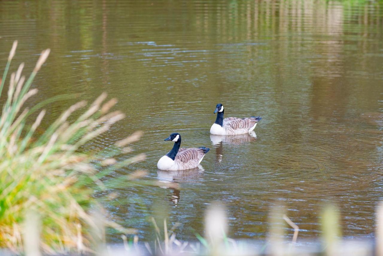 Our Goldfinch 1- Sleeps 2 Persons- Private Hot Tub-Pet Friendly-Tranquil Holiday Away From It All Yet Not Far From St Austell- The Holiday Home Has One Bedroom, Living And Dining Area, Equipped Kitchen-Decking-Outdoor Furniture-Fishing Lakes And MoreGrampound エクステリア 写真
